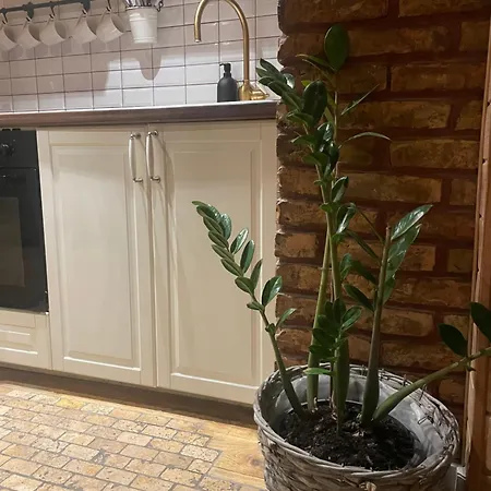 Stebuklas Coliving Apartment Vilnius