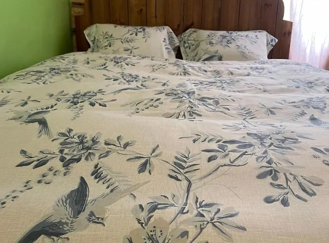 Stebuklas Coliving Appartement Vilnius